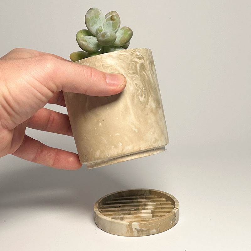 A hand holds a small succulent in a beige marbled planter above a matching round saucer, photographed against a plain light background.