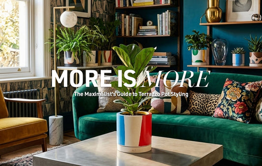 Colourful terrazzo Jesmonite plant pot with a fiddle-leaf fig on a coffee table in a maximalist living room featuring bold décor and indoor plants