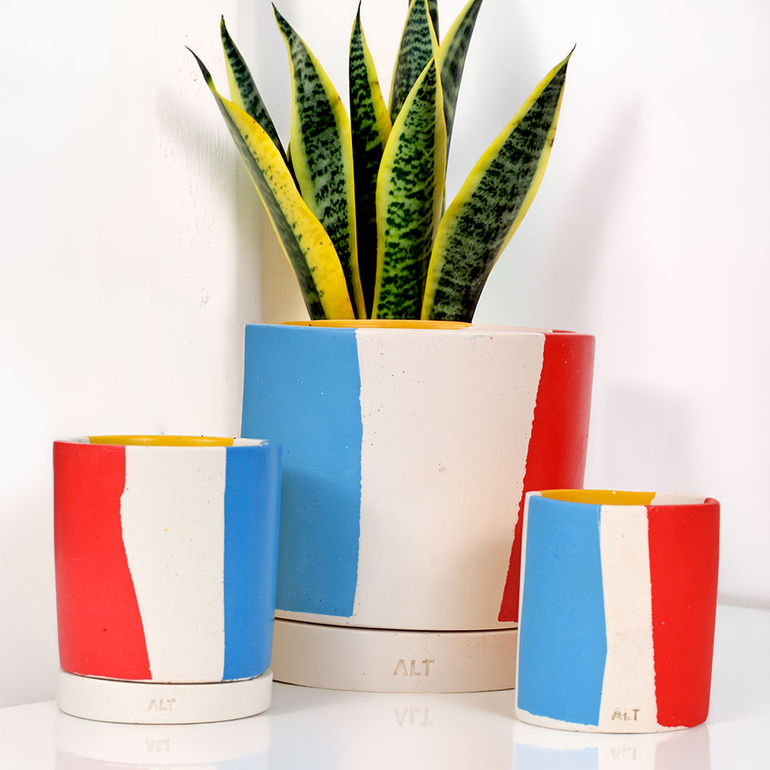 Multicoloured small and large plant pots with a snake plant and a pen pot on a white background.
