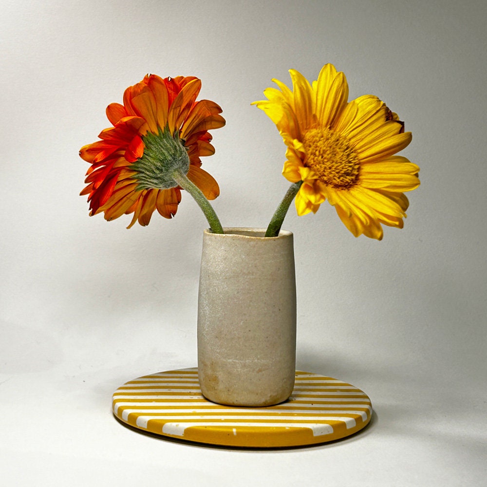Two flowers in a vase on a striped coaster with a plain background