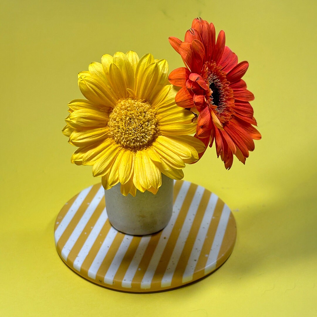 Two flowers, one yellow and one red, on a striped coaster with a yellow background.
