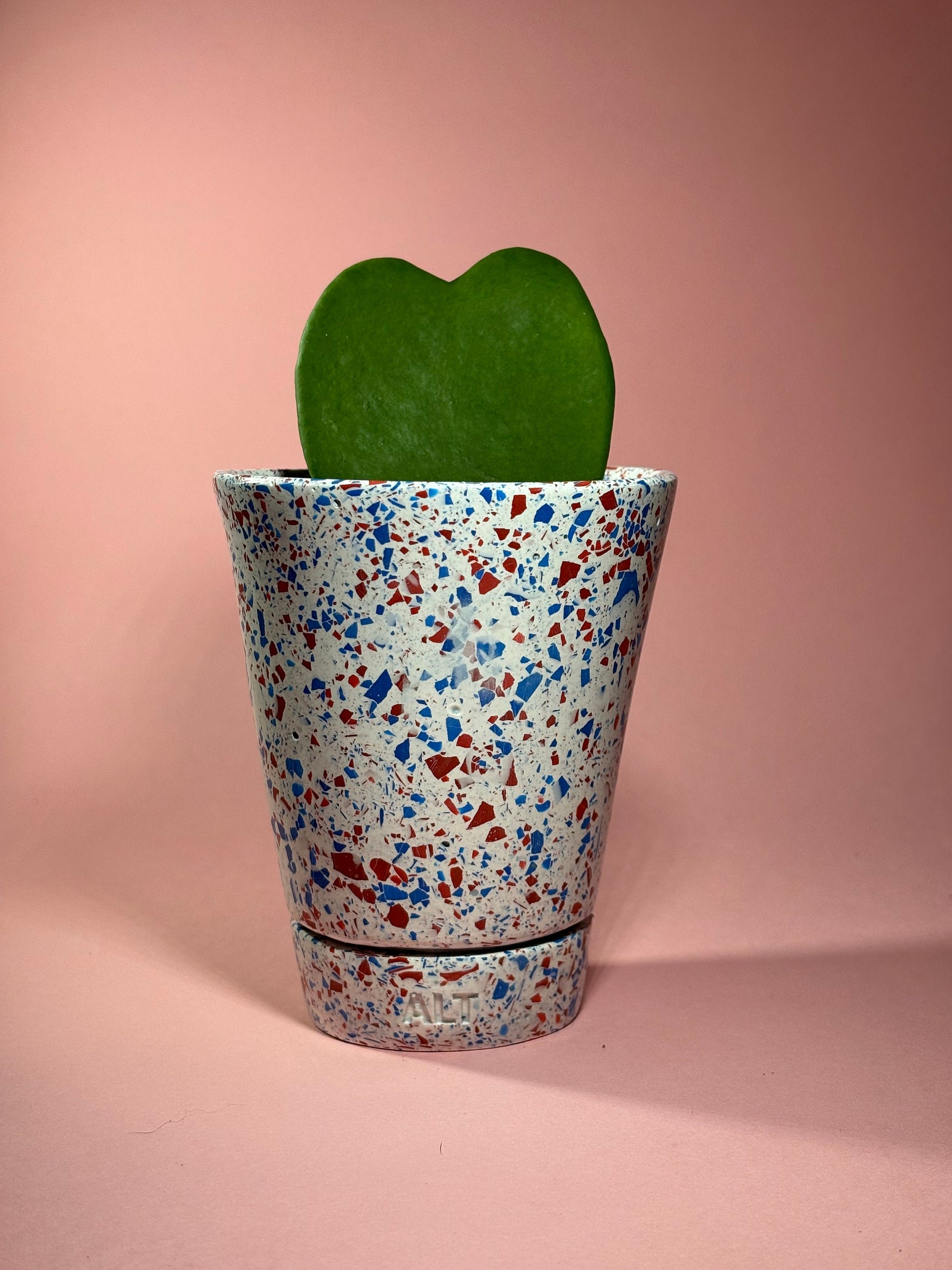 Red and Blue terrazzo plant pot with drainage holes and a water tray with a heart shaped plant on a pink background