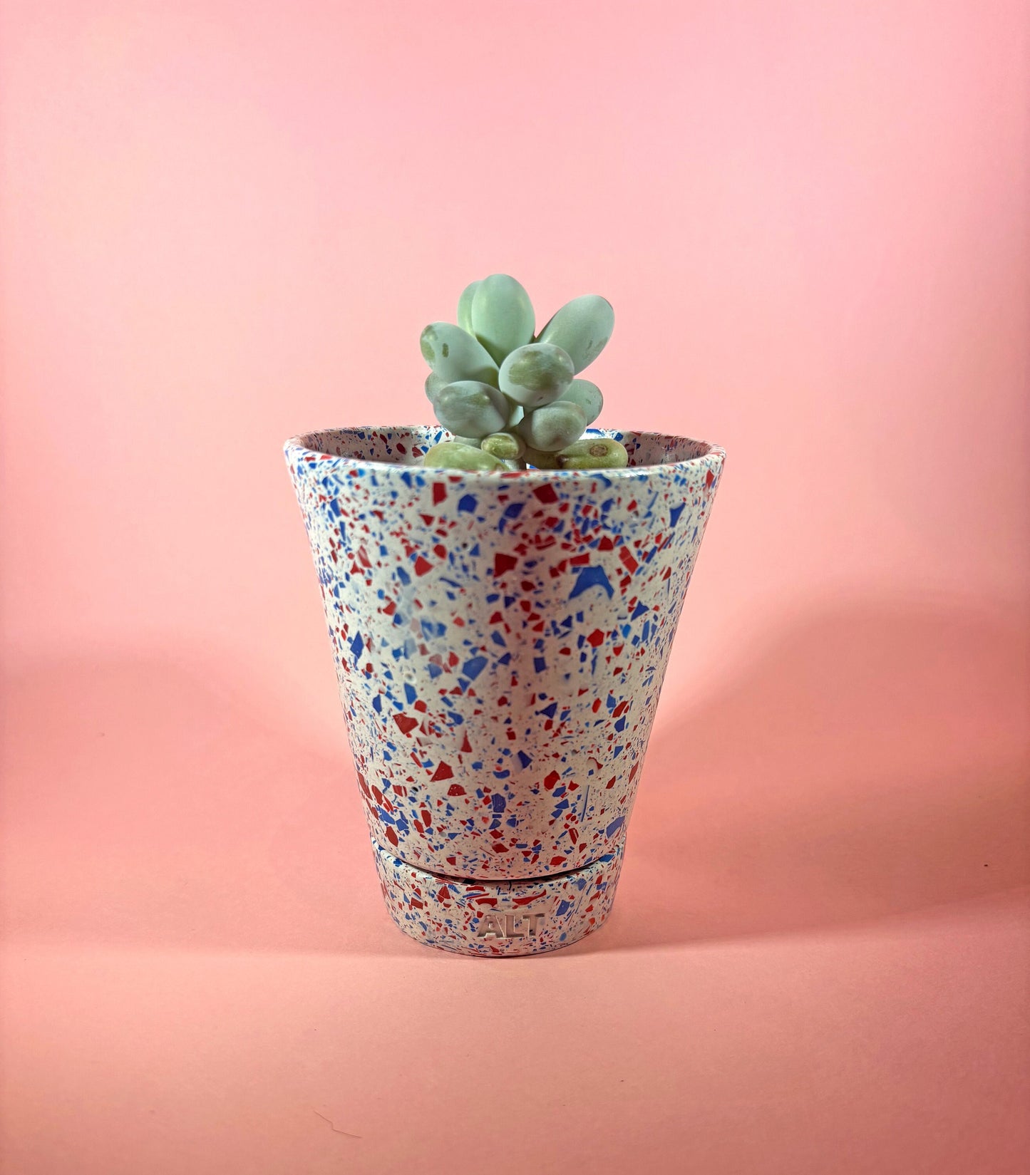 Red and Blue terrazzo plant pot with drainage holes and a water tray with a succulent on a pink background