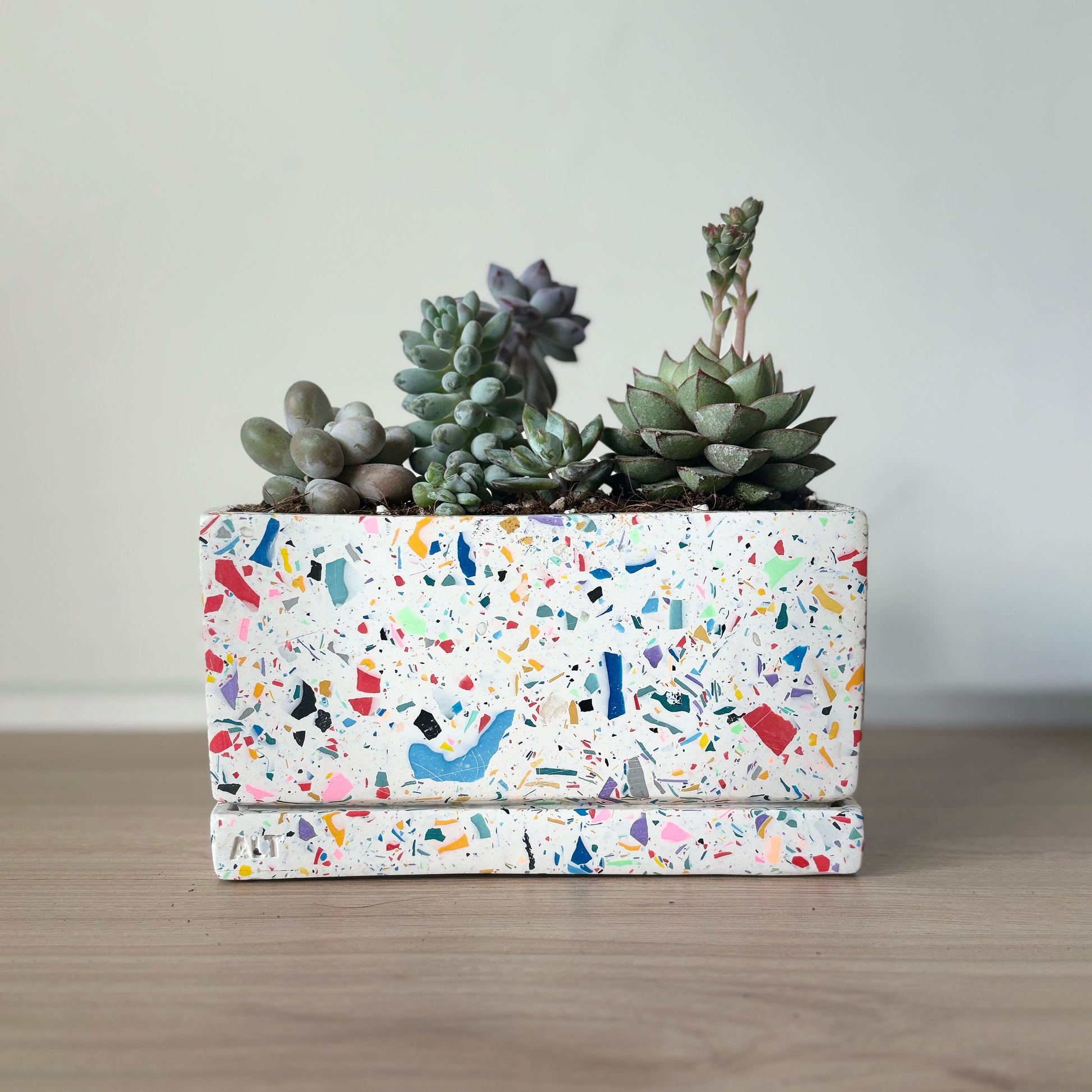 Rectangular rainbow colourful confetti terrazzo planter with drainage holes and a water tray box with succulents on a wooden surface
