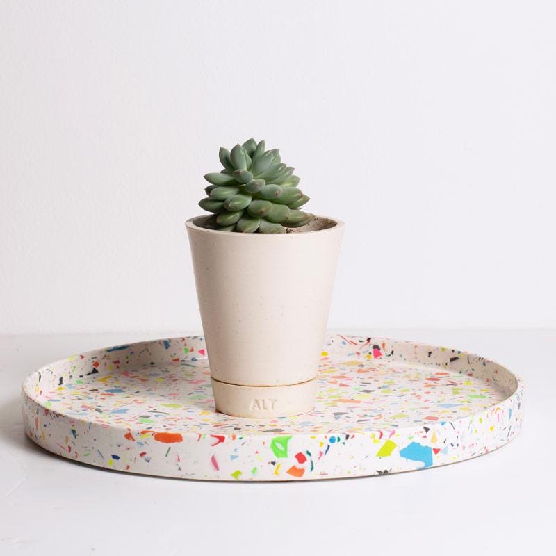 Colorful speckled tray with a white pot and succulent on a light background