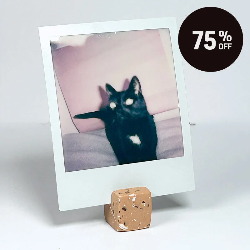 A square instant-film-style photo print with a white border stands on a small terrazzo cube against a light gray background. The printed photo shows a black cat on a pink couch.