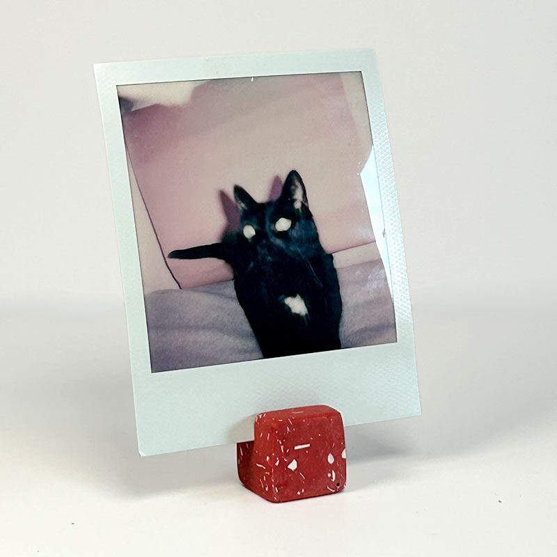 A square instant-film- photo print with a white border shows a black cat sitting on a pink cushion. The print is displayed upright on a small red cube photo stand against a plain light background.