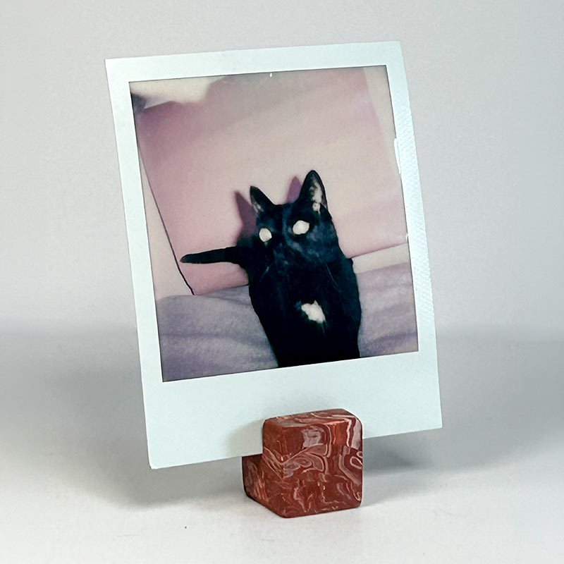 A square instant-film- photo print with a white border shows a black cat sitting on a pink cushion. The print is displayed upright on a small terracotta red cube photo stand against a plain light background.