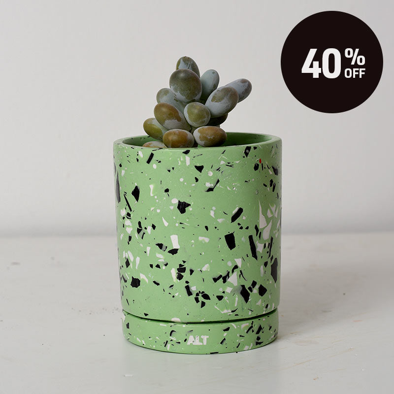 A green terrazzo planter with black and white flecks, containing a small succulent plant, set against a plain light gray background with a black '40% OFF' promotional badge in the top right corner.