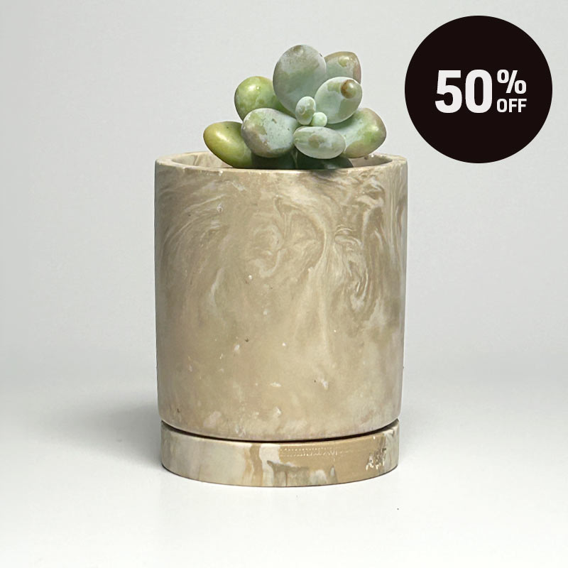 A small succulent plant in a cylindrical beige planter with a matching saucer, photographed on a light gray background. A black circular sale badge reading '50% OFF' appears in the top right corner.