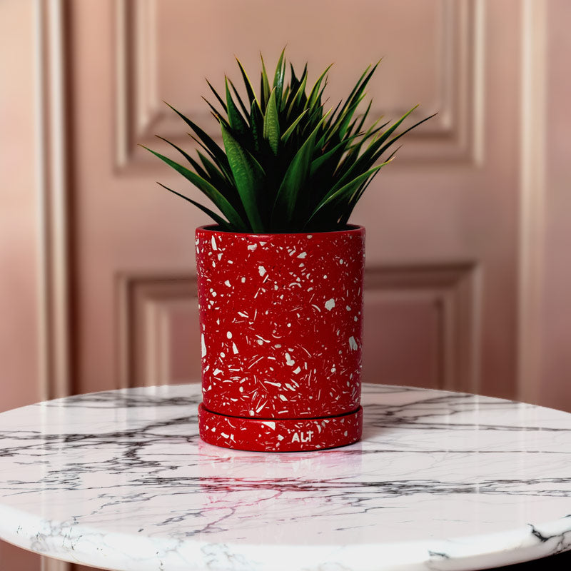 Red terrazzo patterned planter with a green plant on a marble surface against a pink wall.
