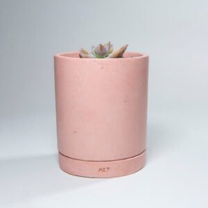 Cylinder indoor plant pot Pink