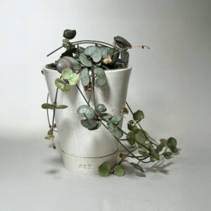 White angular plant pot planter with drainage holes and a saucer tray with plant